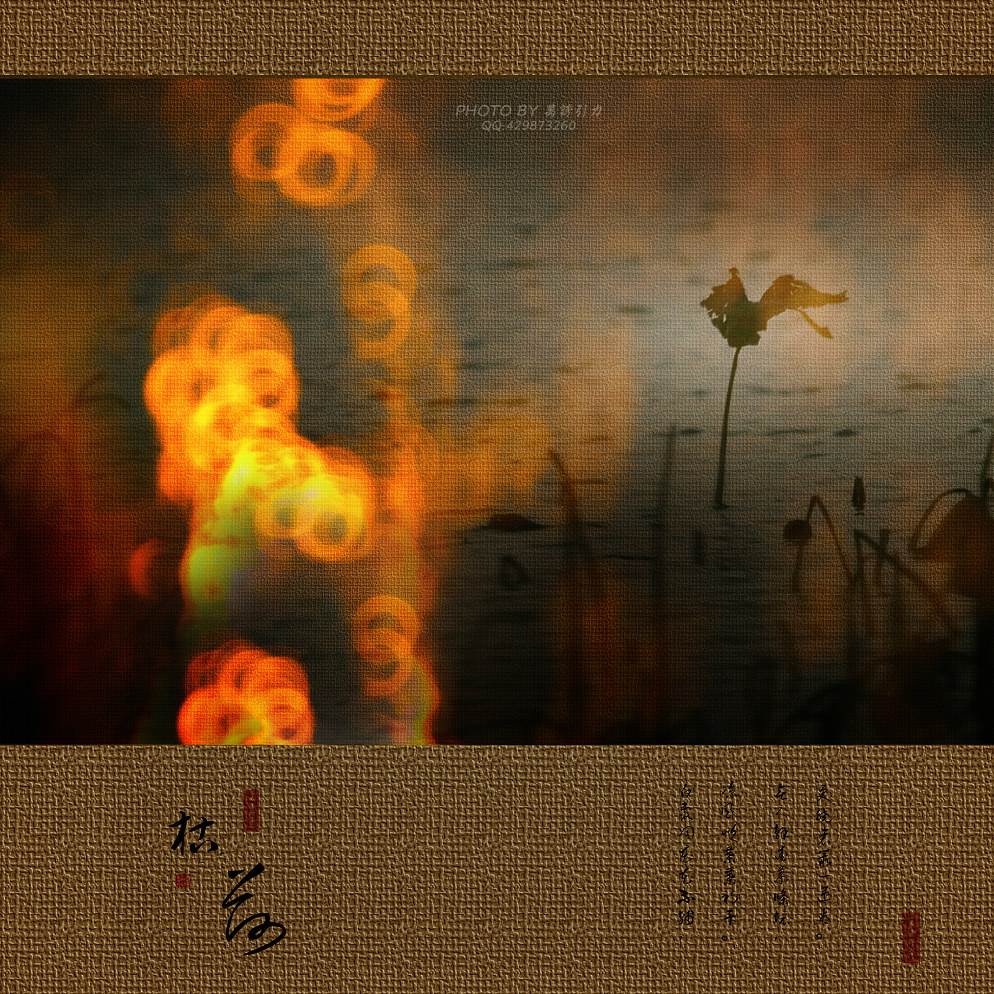 ㊣  火 烧 的 寂 寞  .....  ㊣