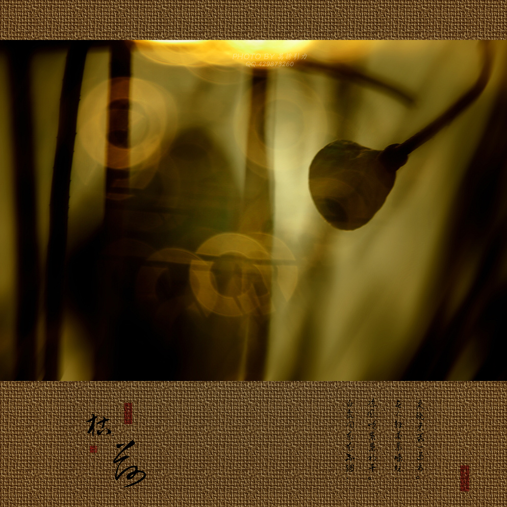 ㊣  火 烧 的 寂 寞  .....  ㊣