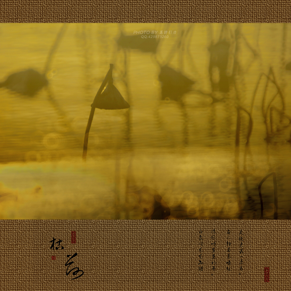 ㊣  火 烧 的 寂 寞  .....  ㊣