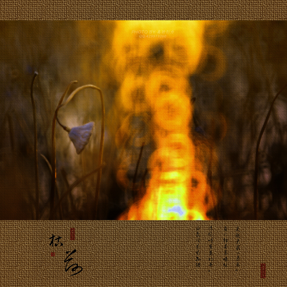 ㊣  火 烧 的 寂 寞  .....  ㊣