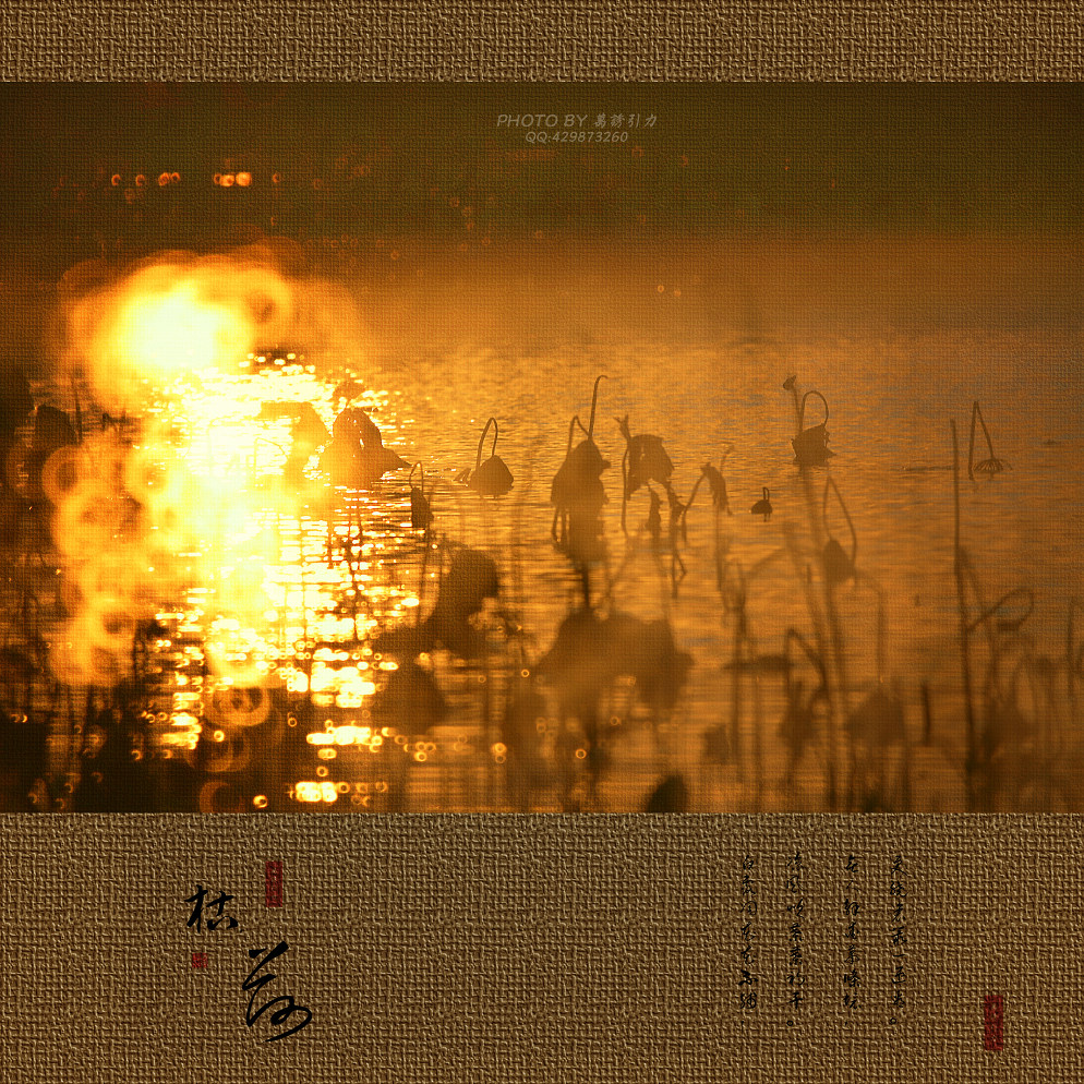 ㊣  火 烧 的 寂 寞  .....  ㊣