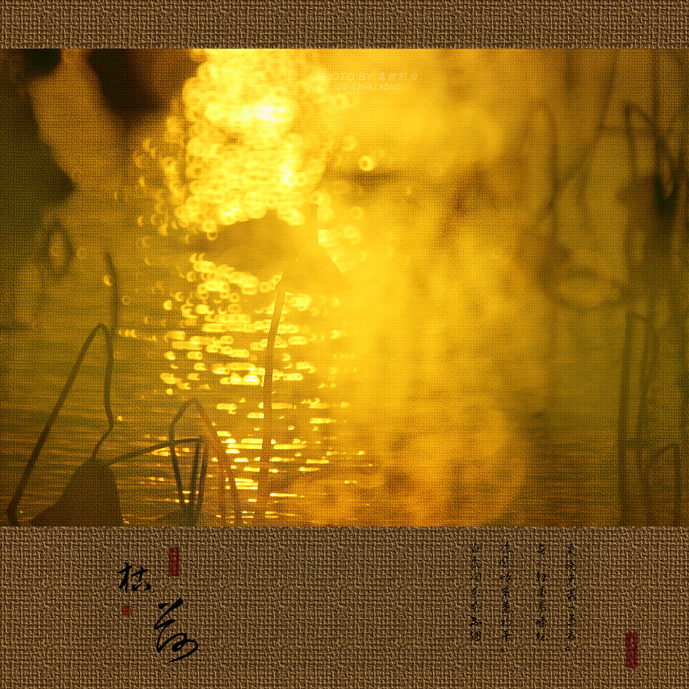 ㊣  火 烧 的 寂 寞  .....  ㊣