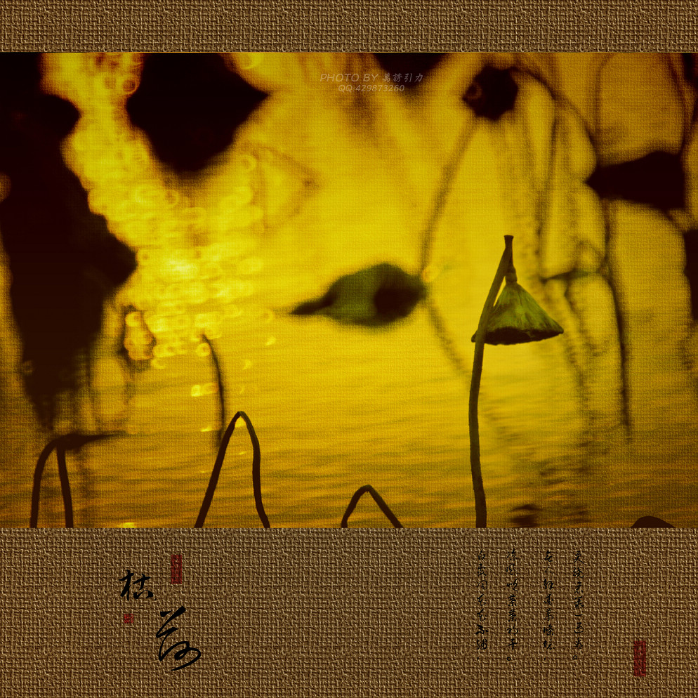 ㊣  火 烧 的 寂 寞  .....  ㊣