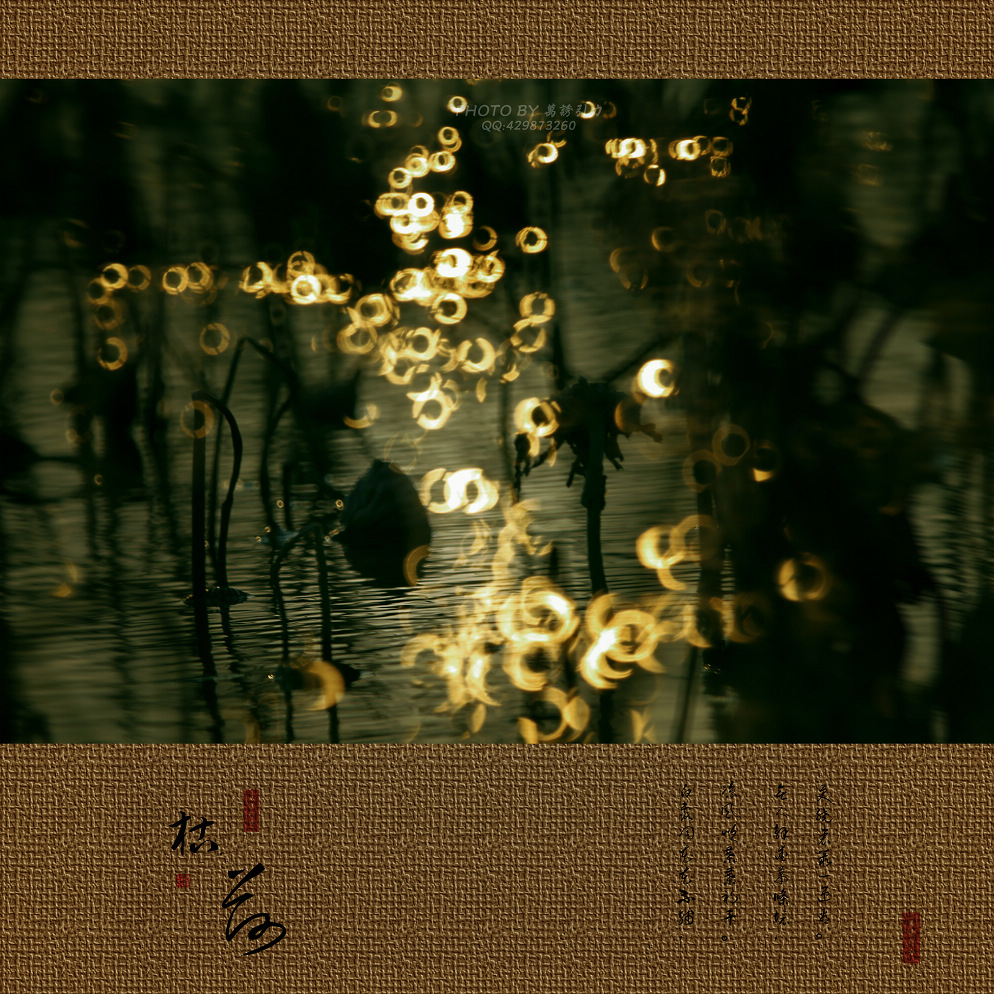 ㊣  火 烧 的 寂 寞  .....  ㊣