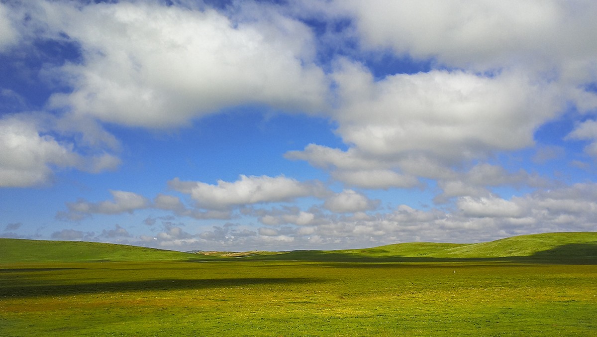 若尔盖草原风光——2017川西北、甘南、青海自驾八日（5）