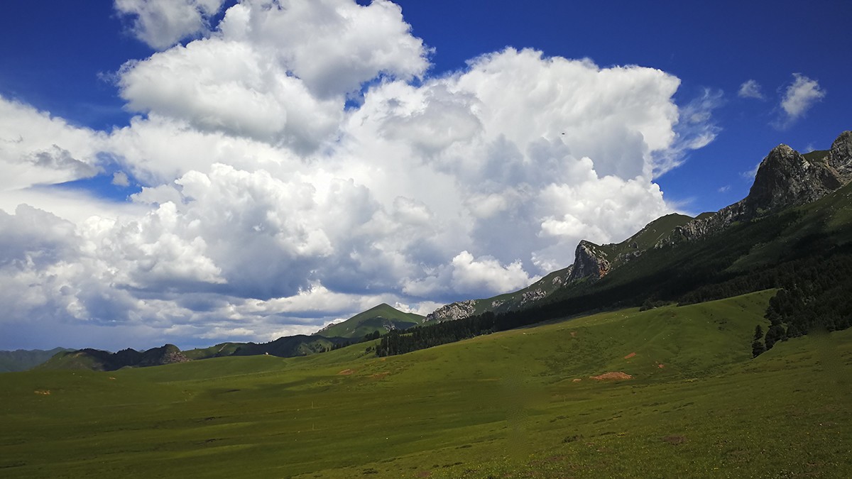 若尔盖草原风光——2017川西北、甘南、青海自驾八日（5）