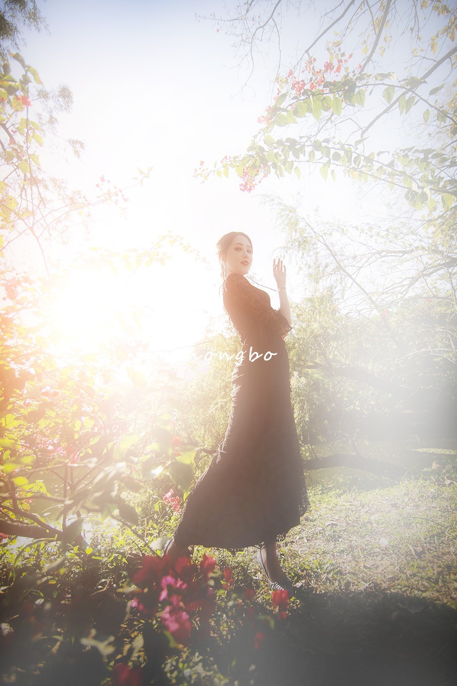 礼服与婚纱人像