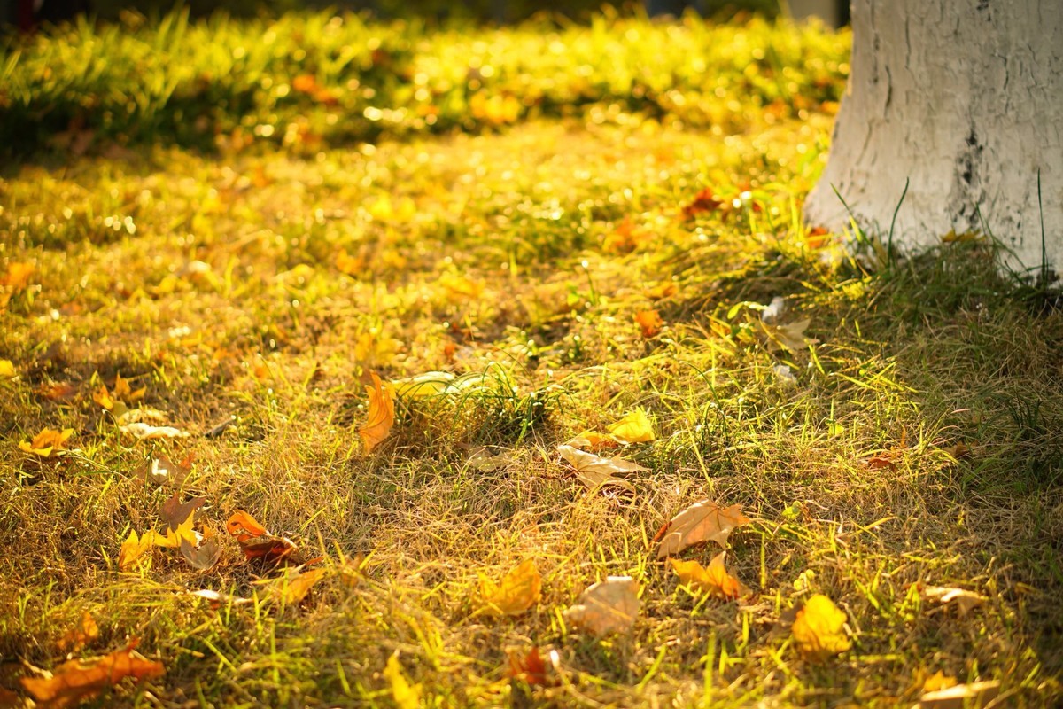 索尼A6300记录生活