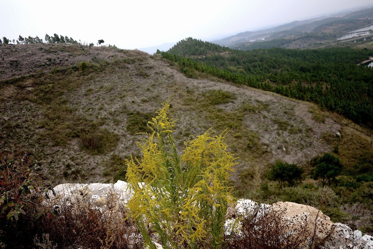 武汉印象---黄陂李家集珍珠岭龙王尖！。。。