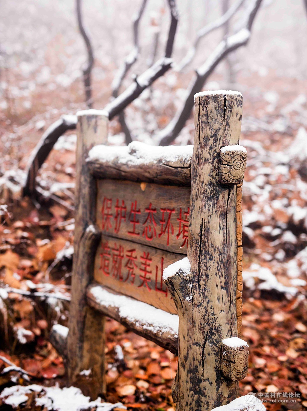 瑞雪中的坡峰岭