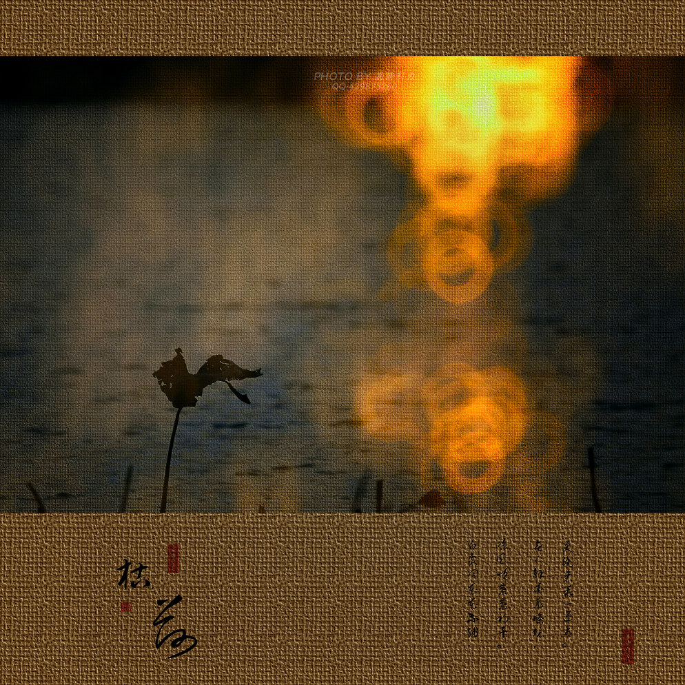 ㊣  火 烧 的 寂 寞  .....  ㊣
