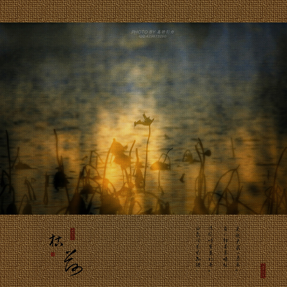 ㊣  火 烧 的 寂 寞  .....  ㊣