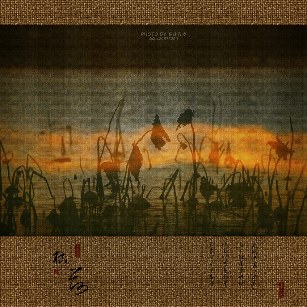 ㊣  火 烧 的 寂 寞  .....  ㊣