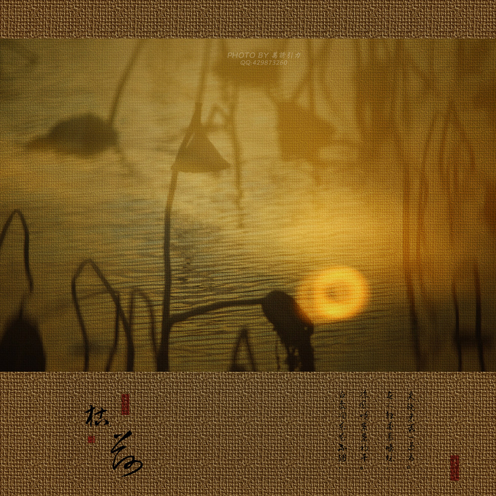 ㊣  火 烧 的 寂 寞  .....  ㊣