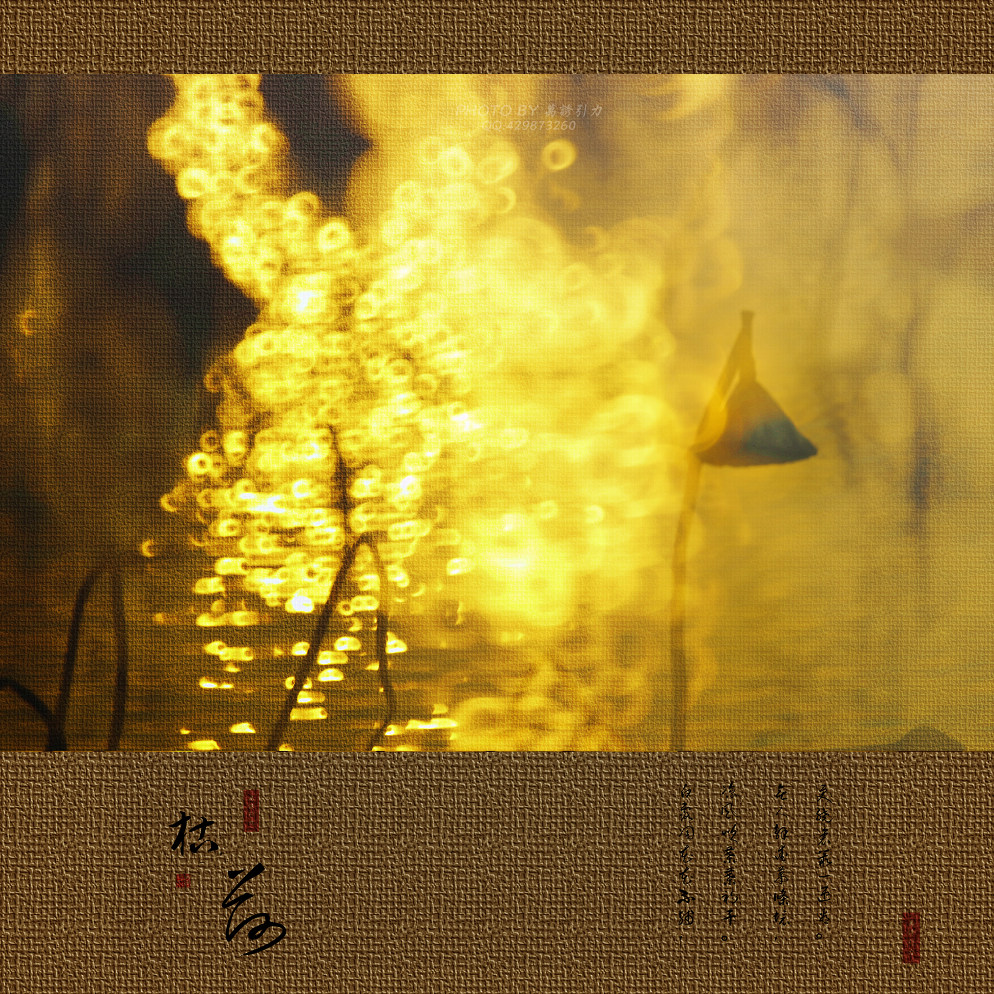 ㊣  火 烧 的 寂 寞  .....  ㊣