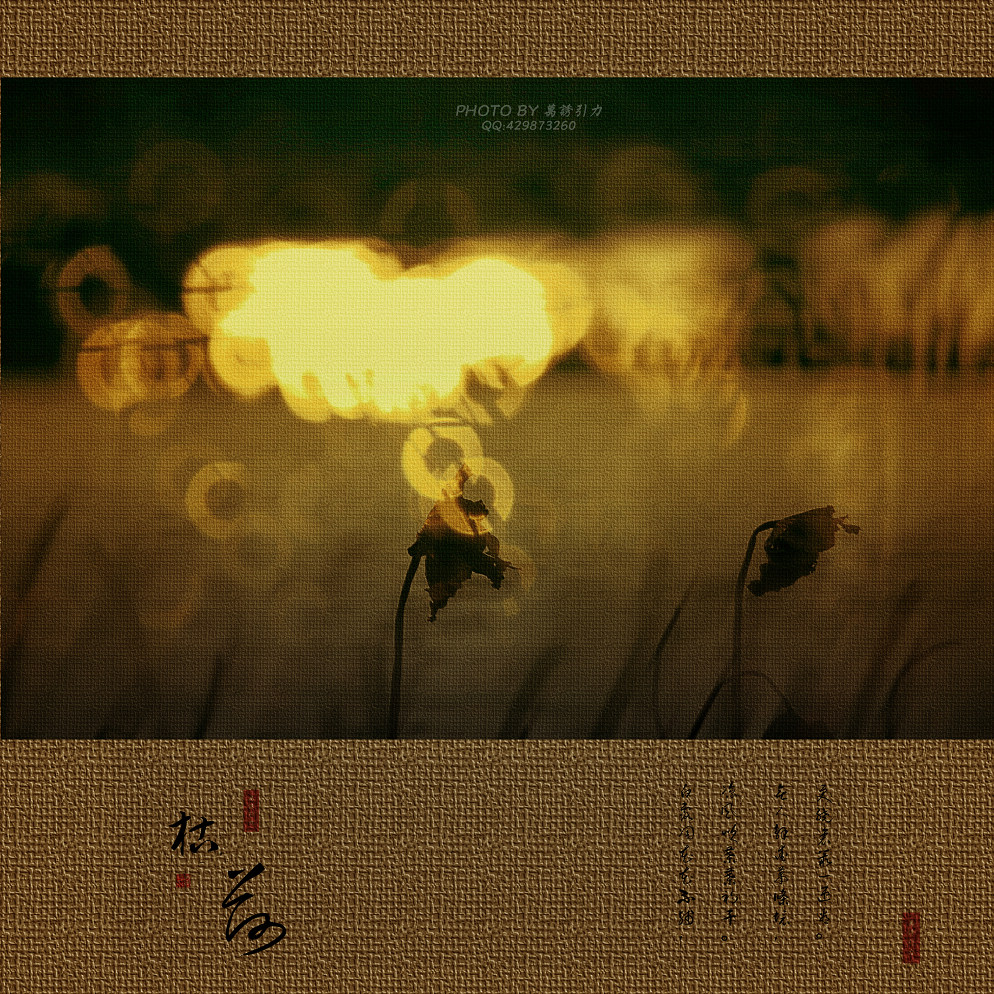 ㊣  火 烧 的 寂 寞  .....  ㊣