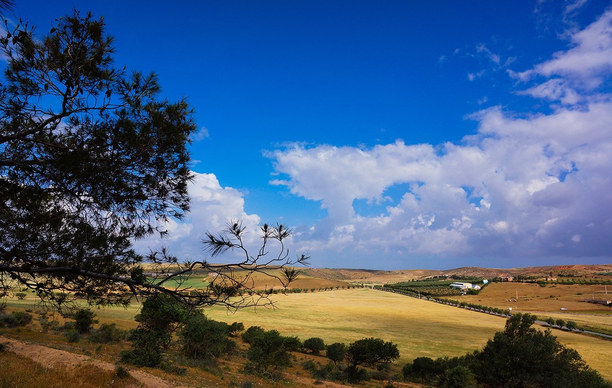 野外风景一组非洲
