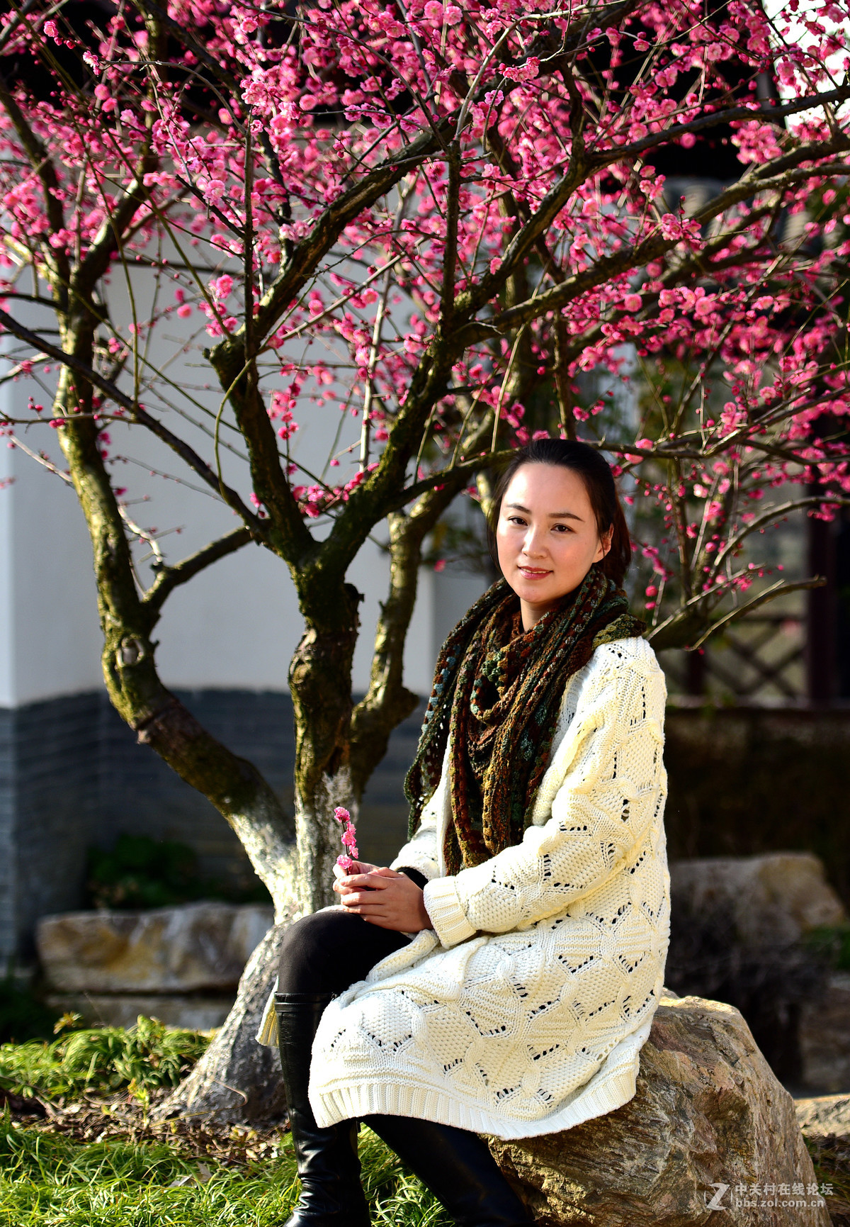 梅花树下一个女孩图片图片