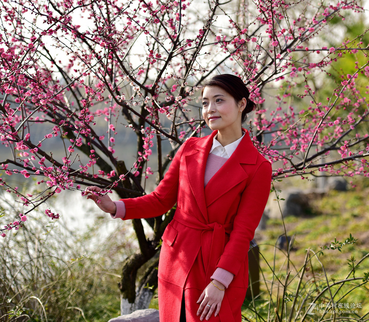 梅花树下一个女孩图片图片