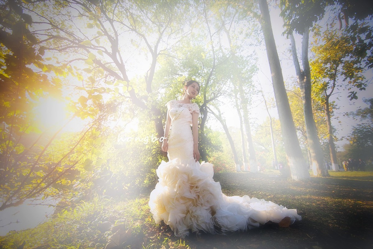 礼服与婚纱人像