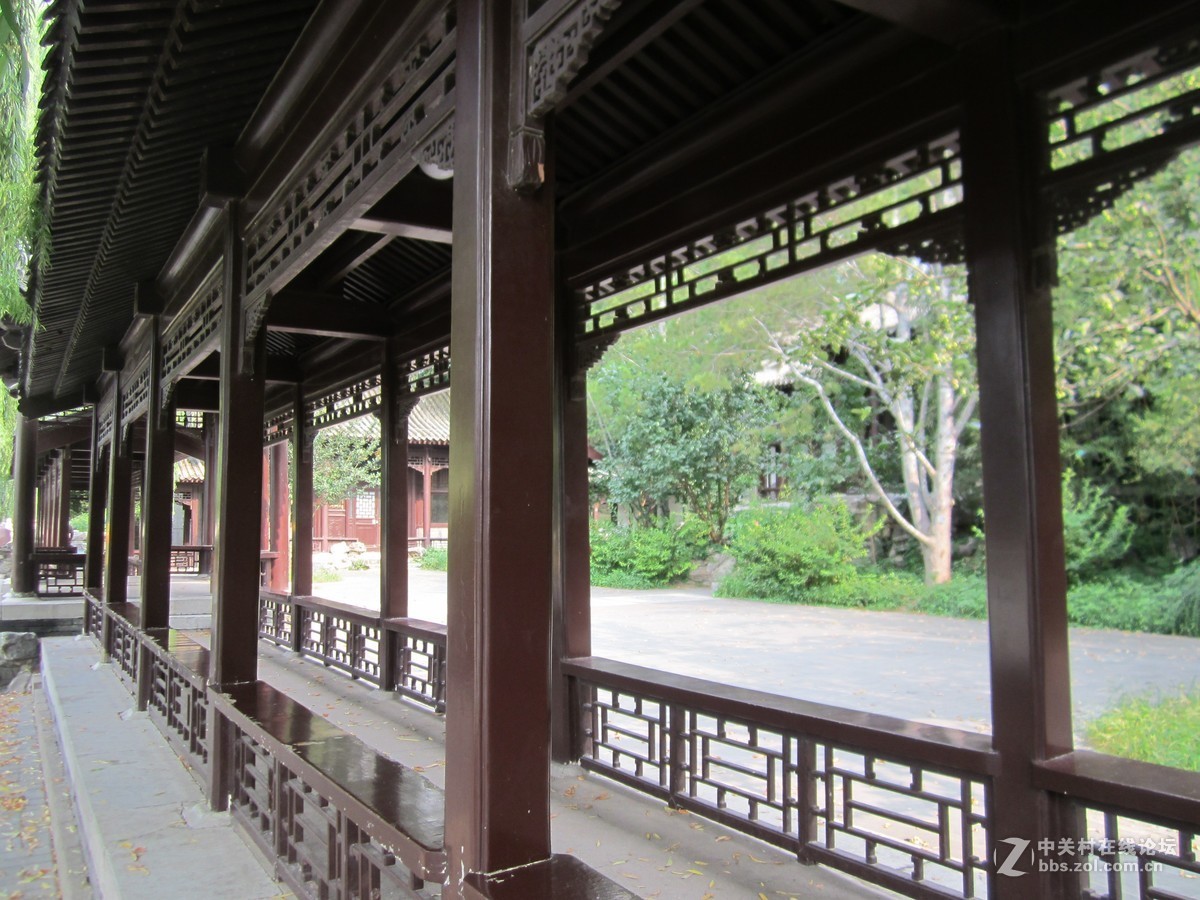 #佳能EOS M6-定格光影#夏色