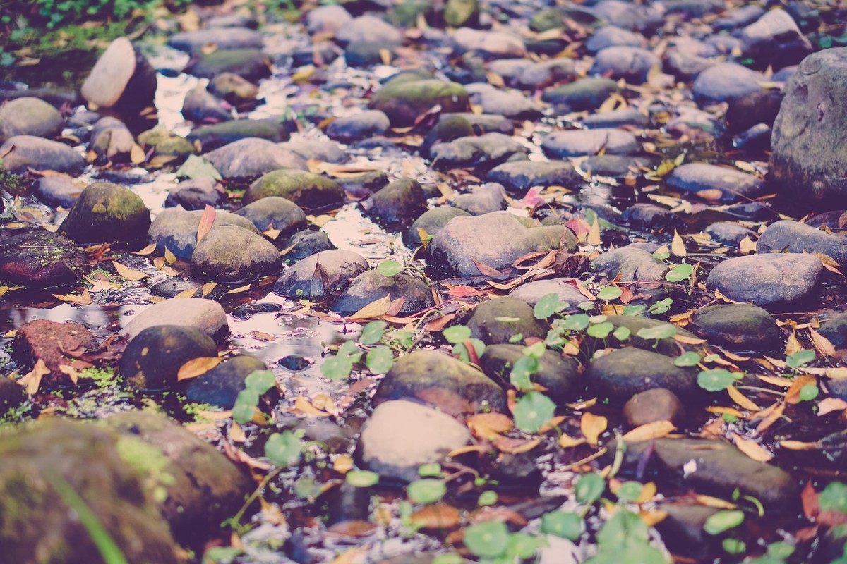 索尼A6300记录生活