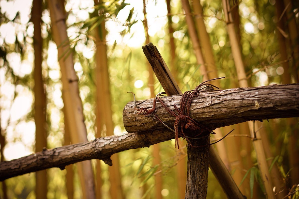 索尼A6300记录生活