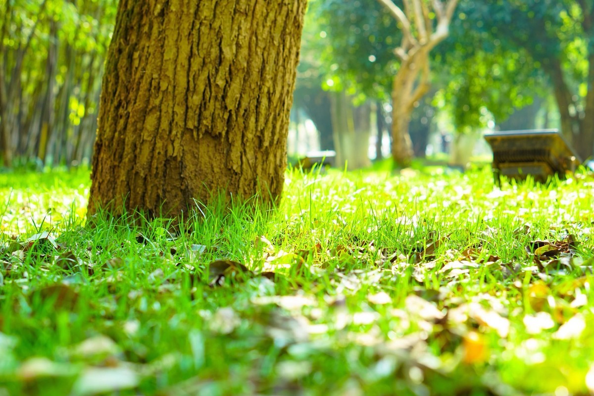 索尼A6300记录生活