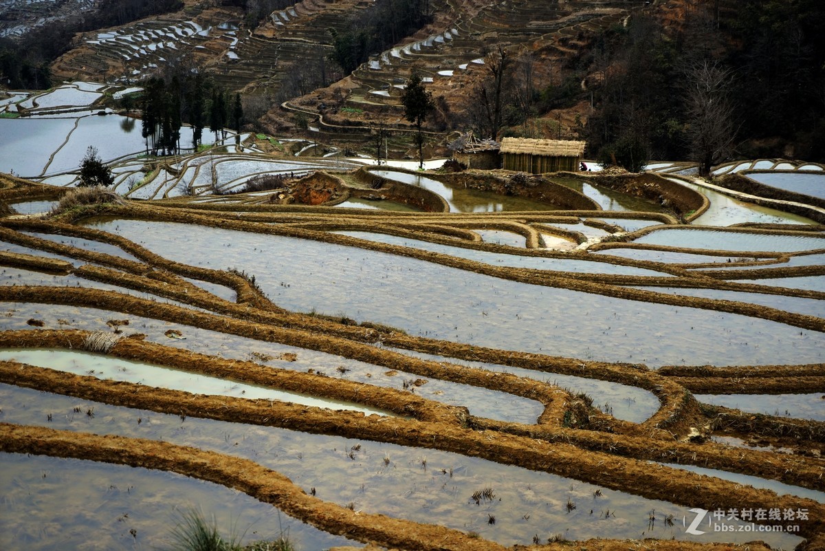 元阳梯田2