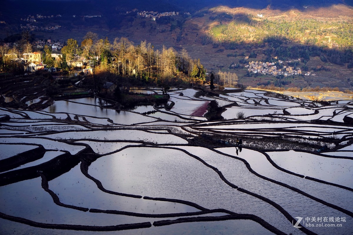 元阳梯田2