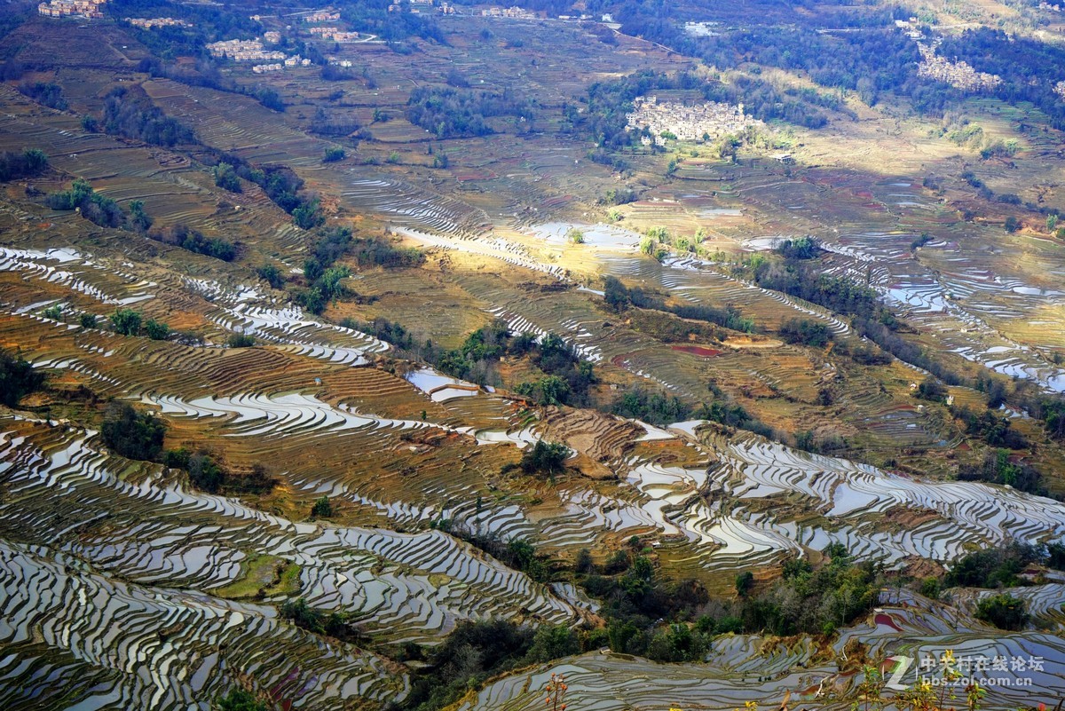 元阳梯田2