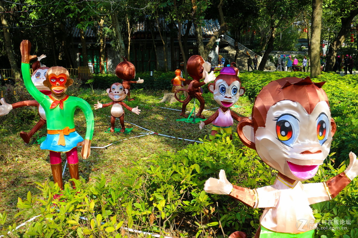 白天逛西湖花灯随拍