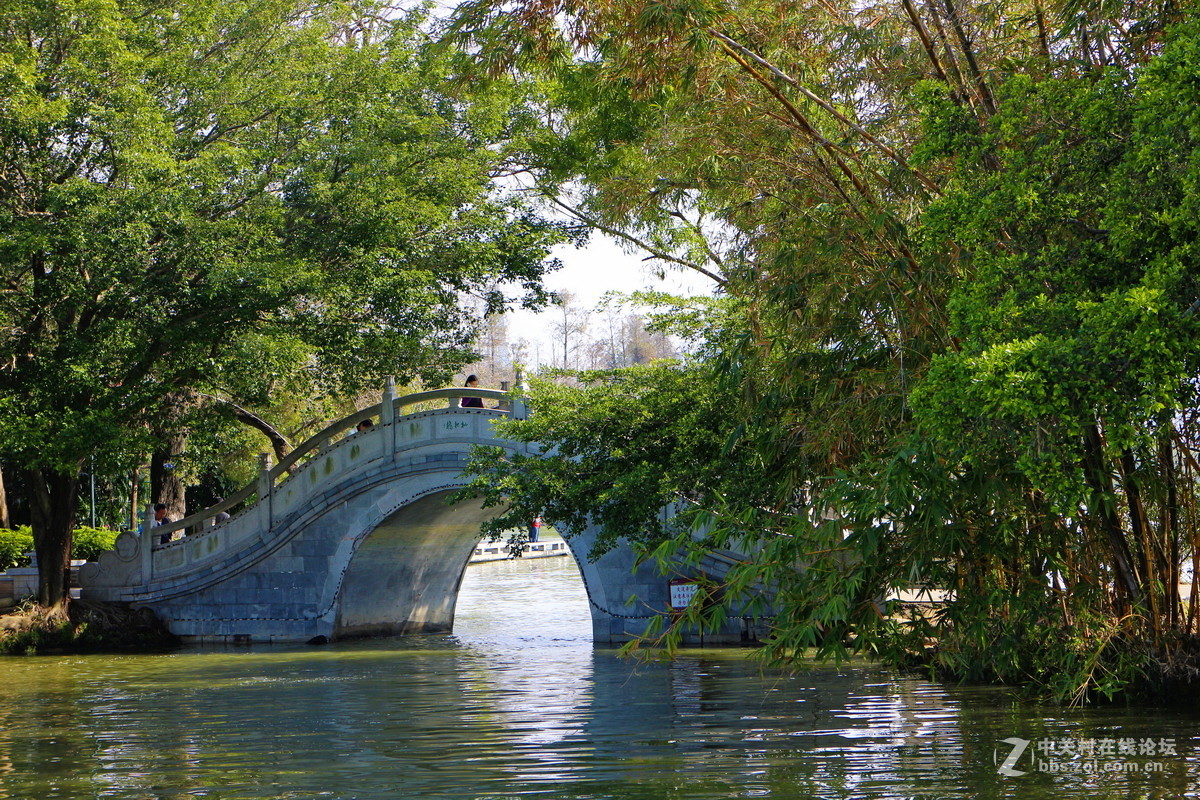 白天逛西湖花灯随拍