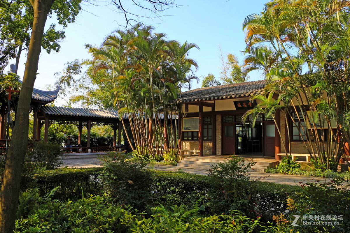 白天逛西湖花灯随拍