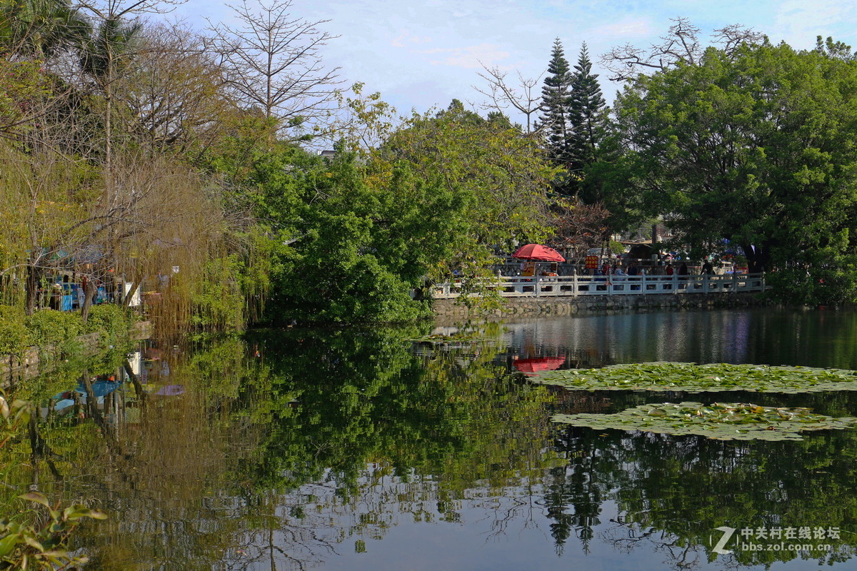 白天逛西湖花灯随拍
