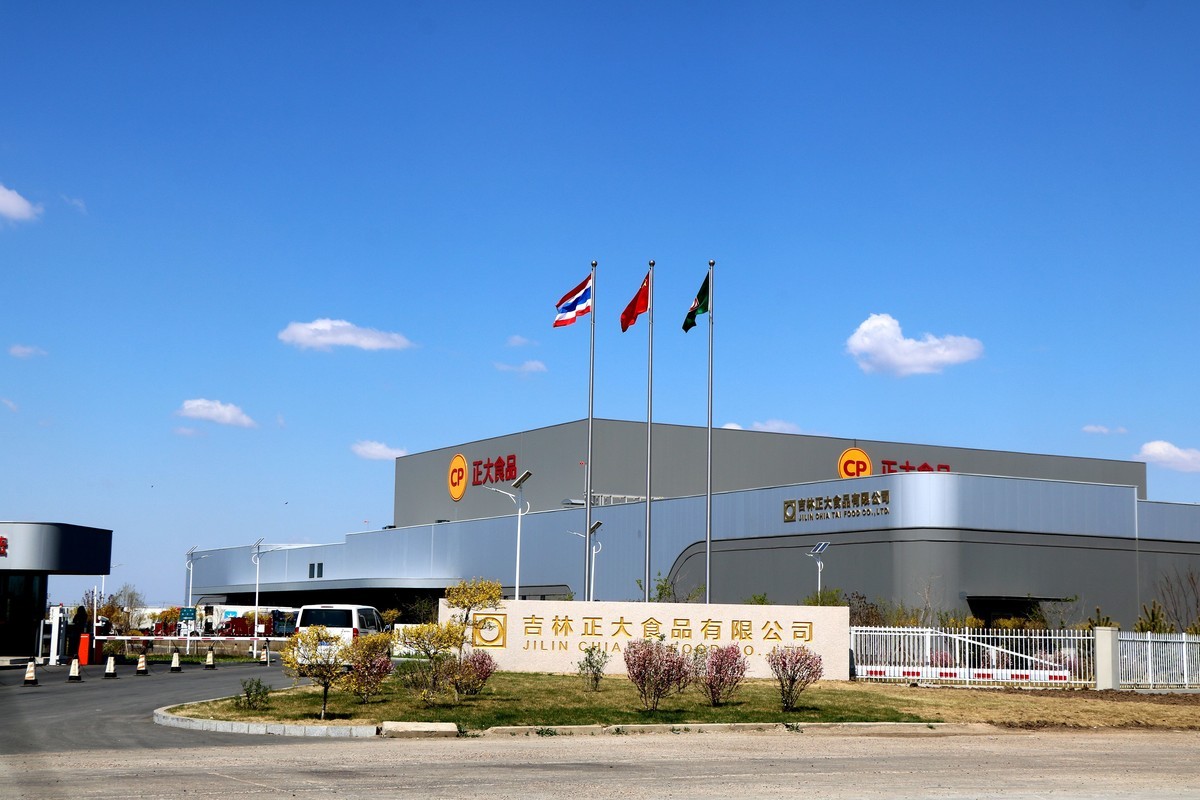 蓝天下的正大------------