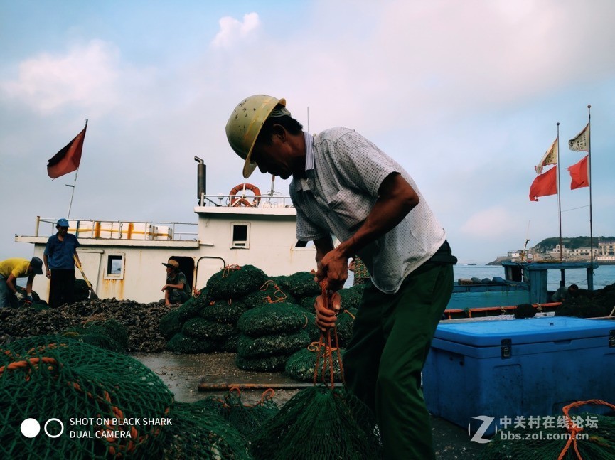 带上黑鲨游戏手机去东极岛：一路美景相送