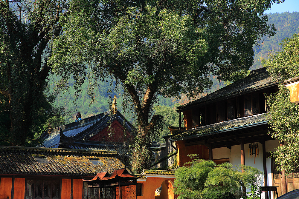 天台国清寺-中关村在线摄影论坛