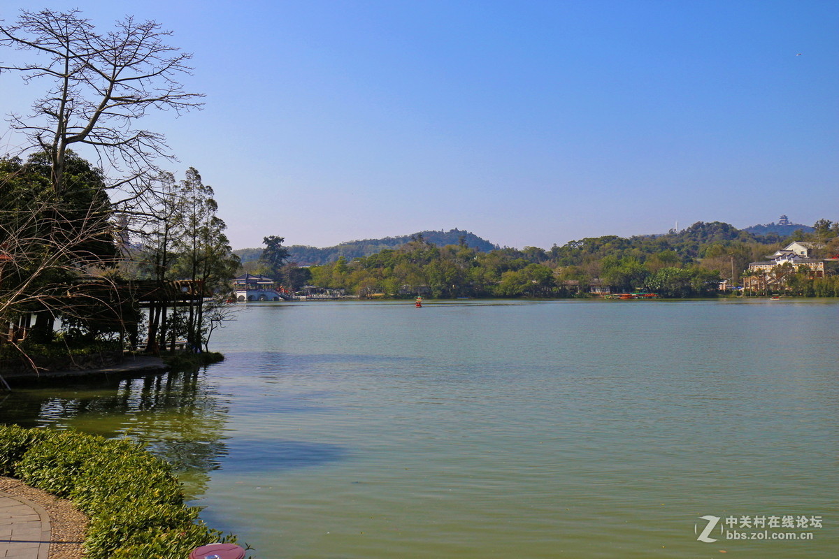 白天逛西湖花灯随拍