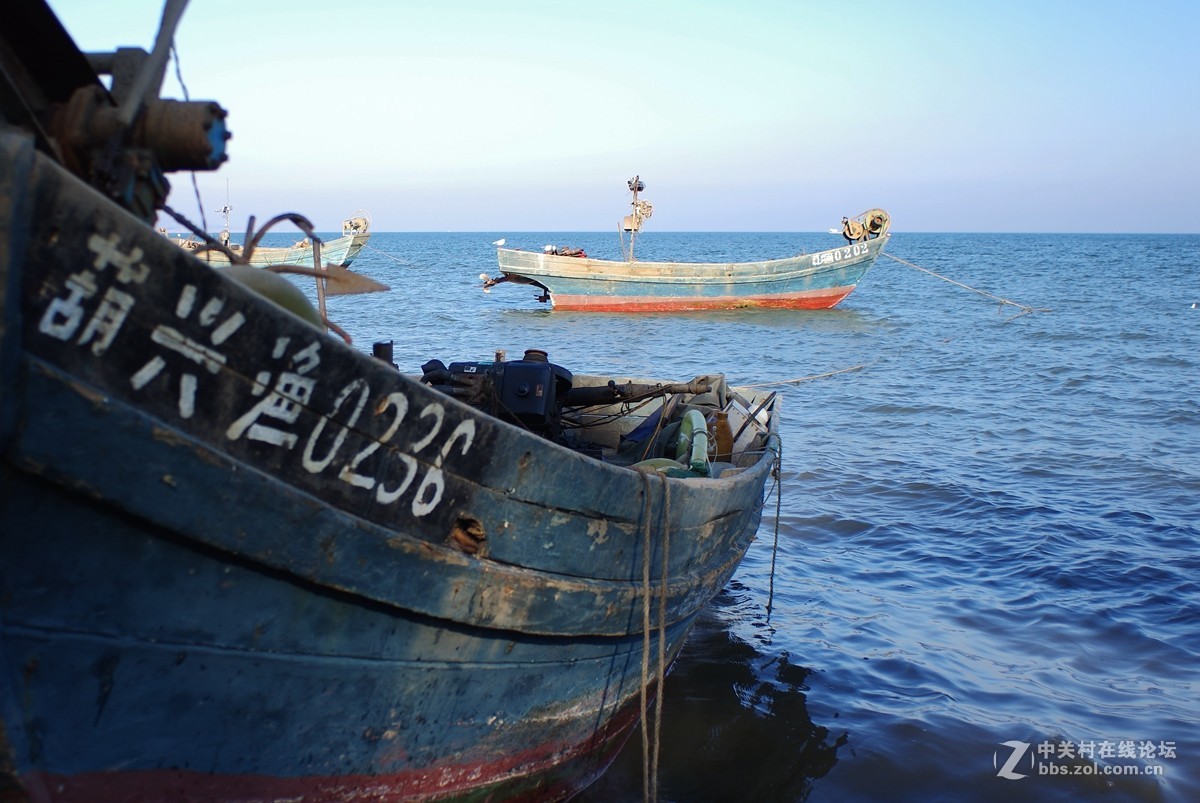 封湖一年后盛大开渔 上千渔民下湖捕鱼 渔船竞发气势恢宏