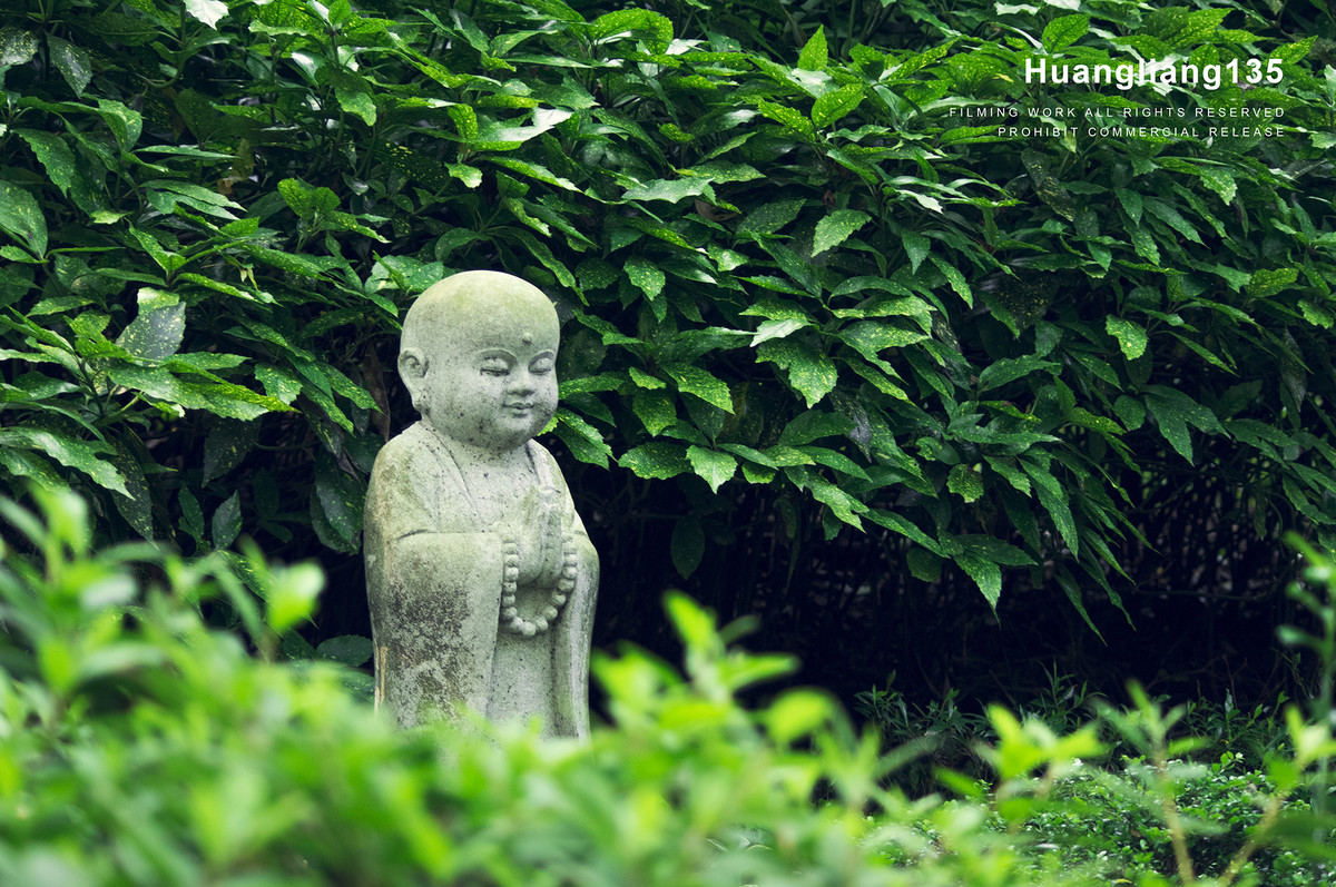 机器放家里吃灰许久了，今难得空闲便带它逛灵隐寺