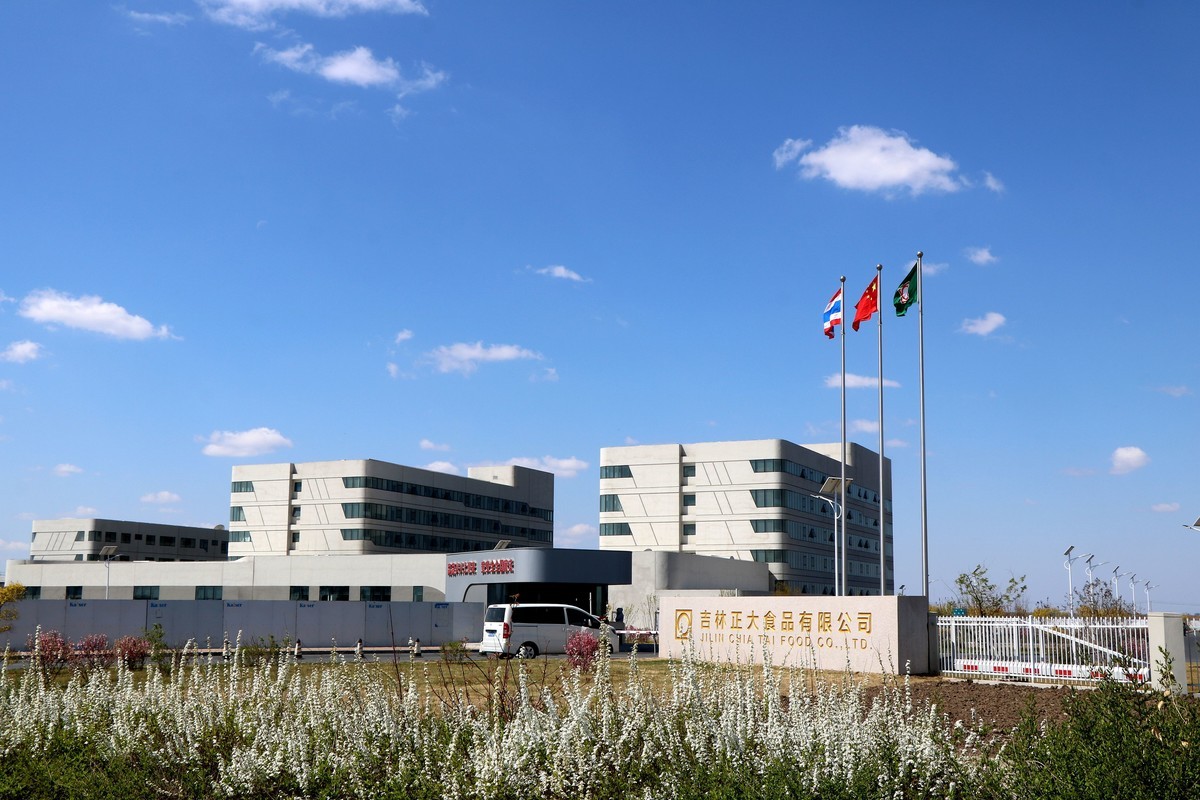 蓝天下的正大------------