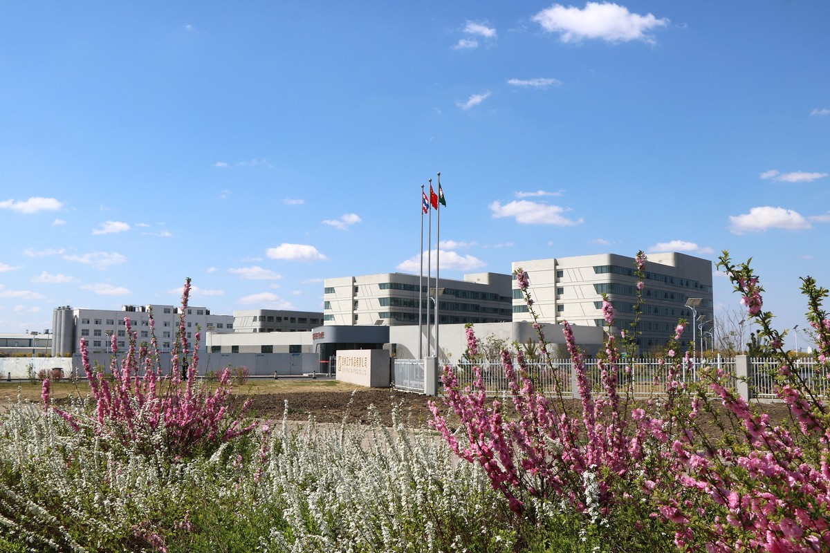 蓝天下的正大------------