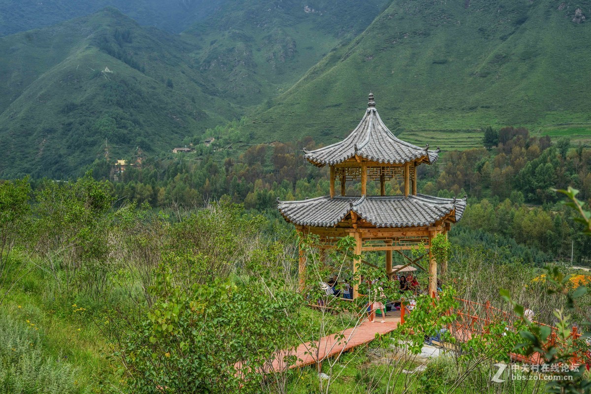 青海民和七里寺花海