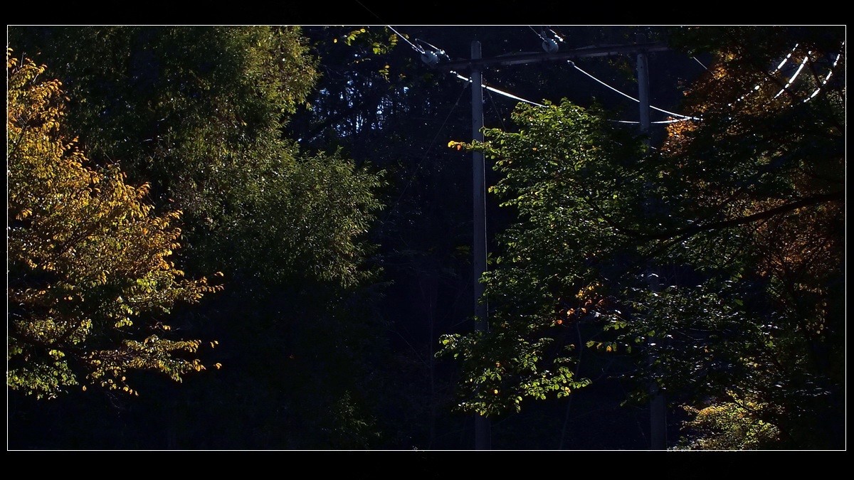 丰满松花湖《坝上金秋》来燕赵访友交流。