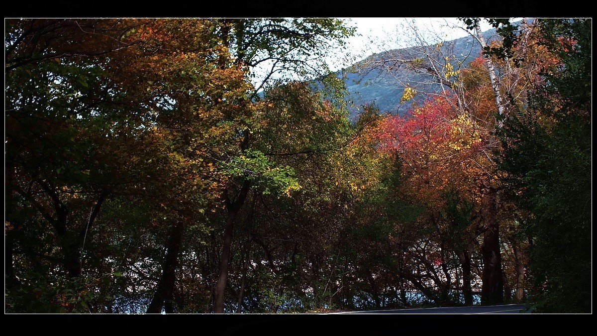 丰满松花湖《坝上金秋》来燕赵访友交流。