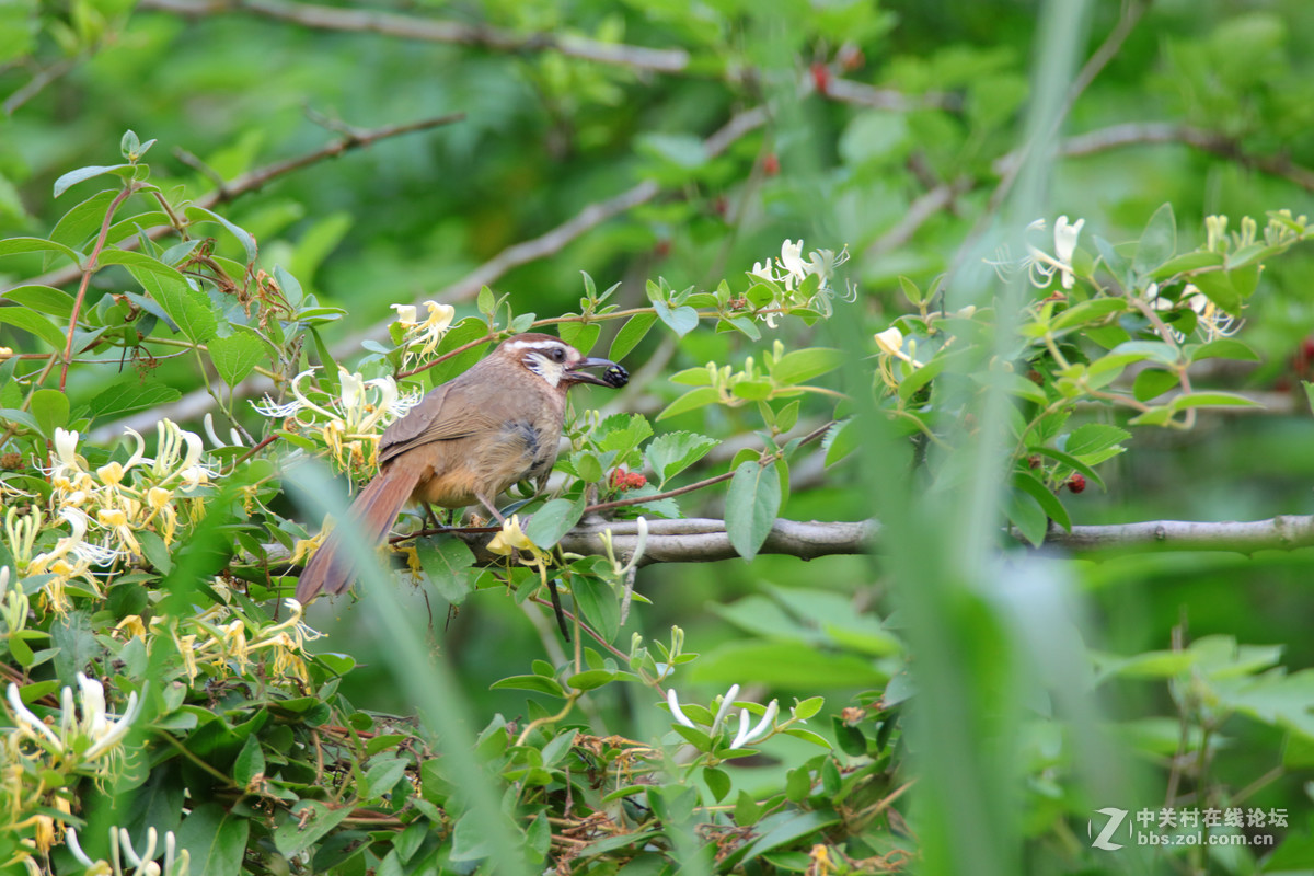 节日景区一组随拍