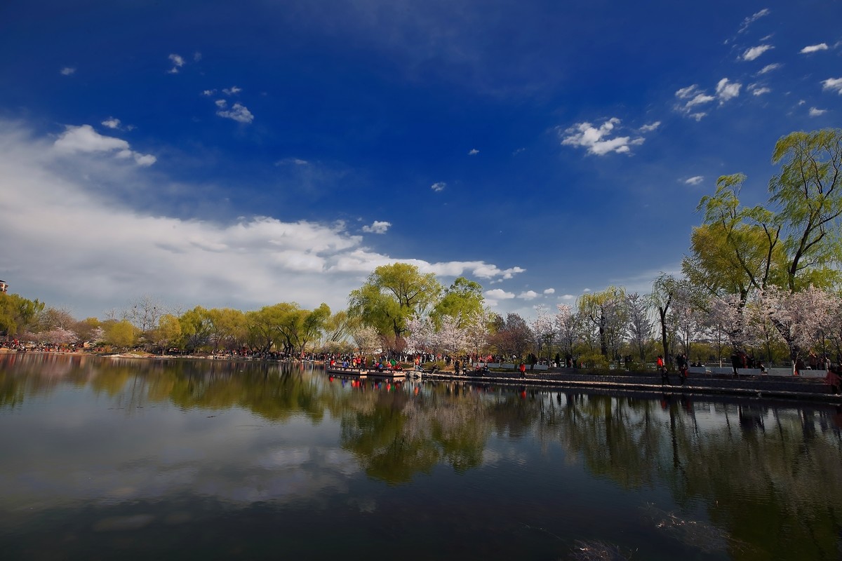 #佳能月赛-与佳能一起去踏青#《樱花盛开的地方》