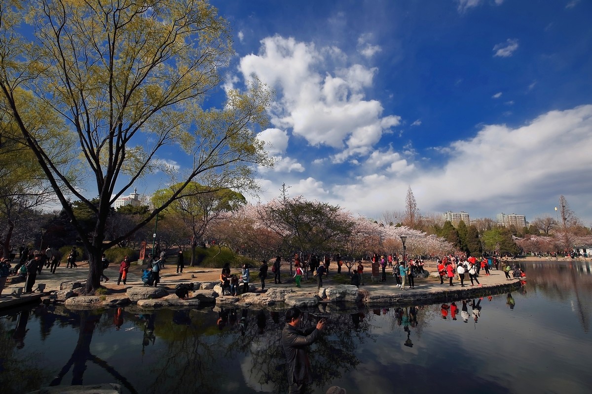 #佳能月赛-与佳能一起去踏青#《樱花盛开的地方》