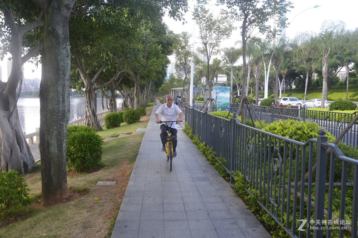 美丽的厦门白鹭洲湖边风光摄影之二